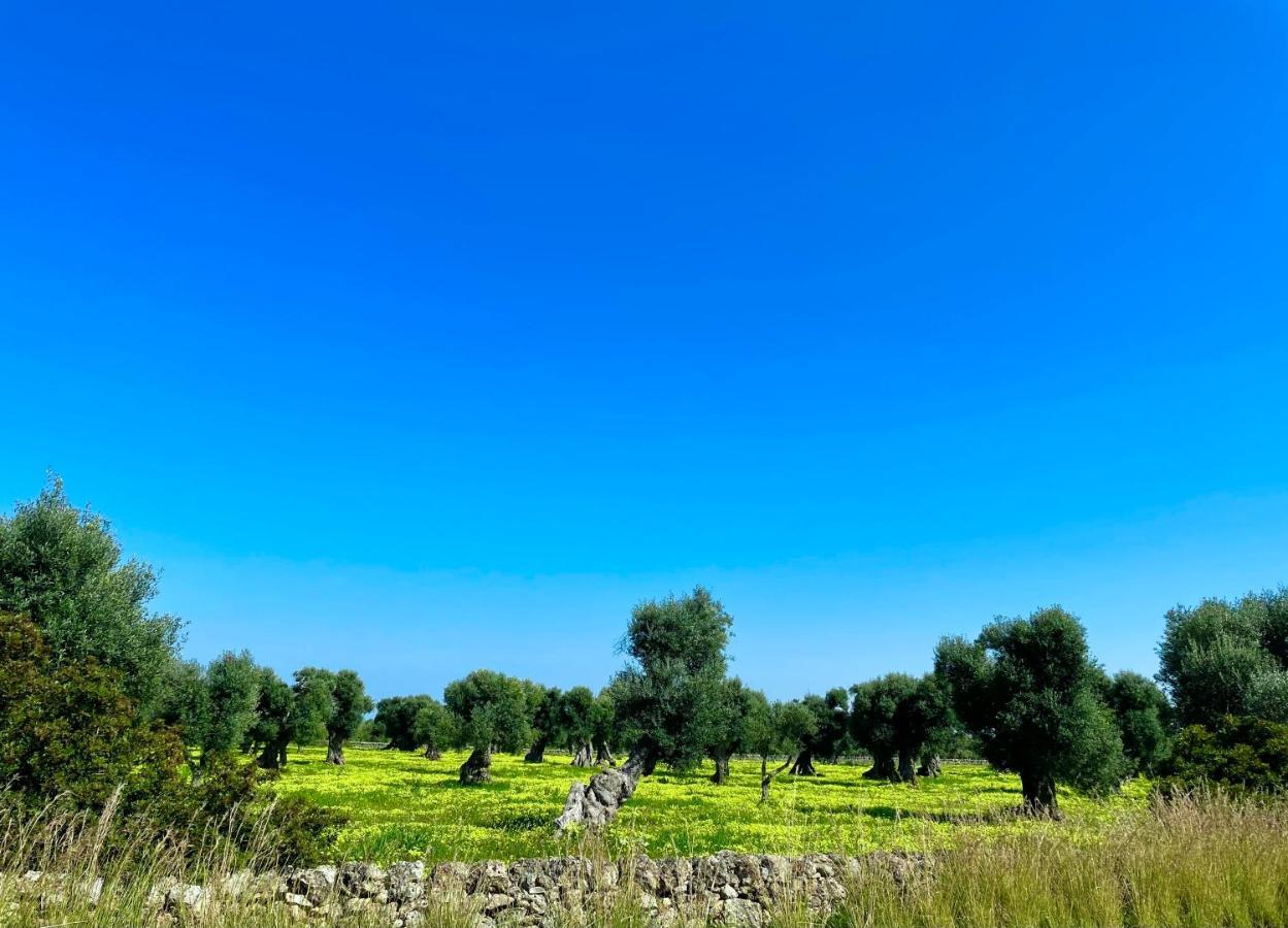 Jangelu Appartamento Ostuni Esterno foto